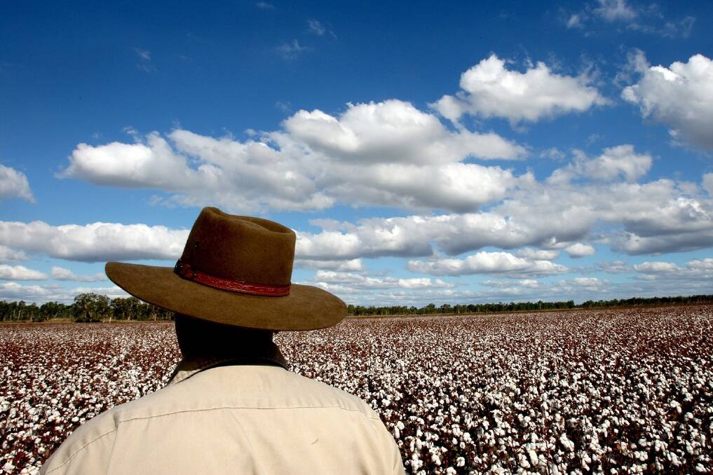 CSIRO has cited the Australian cotton industry – and in particular GM adoption – as a case study in successful agricultural innovation.