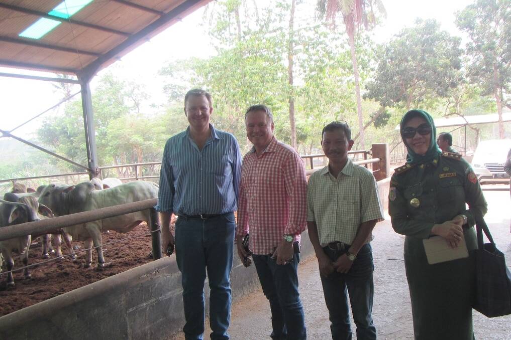 CPC CEO Troy Setter and Shadow Agriculture Minister Joel Fitzgibbon tour a feedlot in Indonesia last week. 