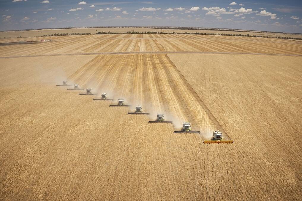 The fleet of nine Lexion harvesters in action last week near Rowena, NSW. 