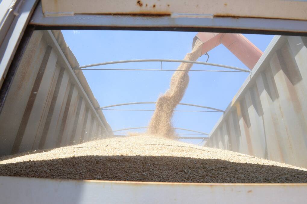 Wheat pool deliveries rise