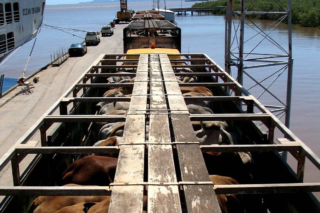 Capping live cattle exports would threaten free markets, cattle producers and agriculture economists say.