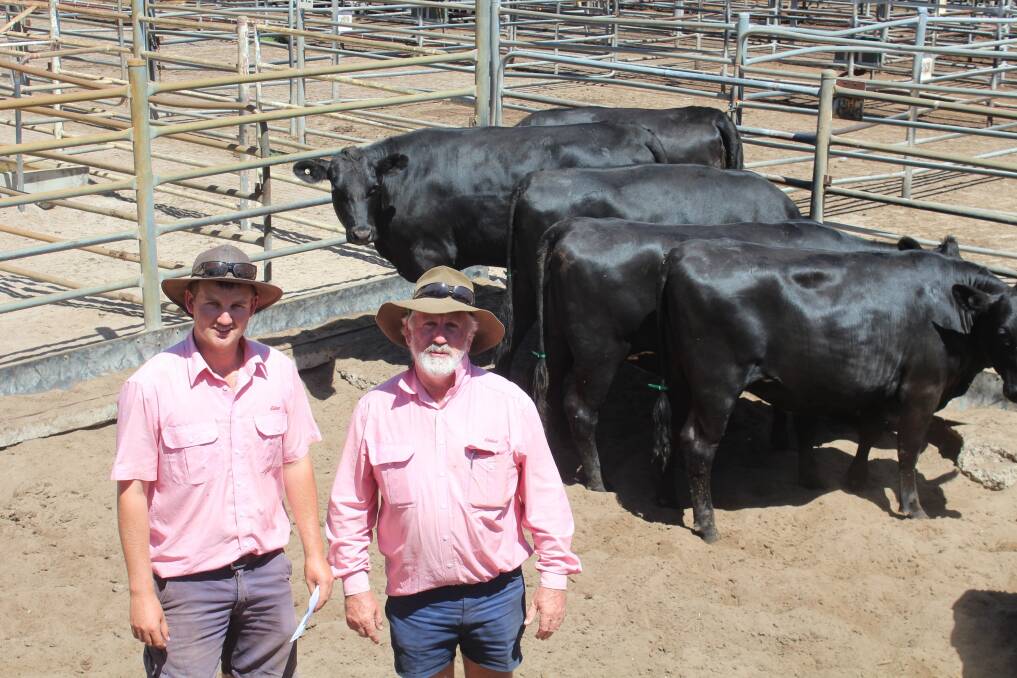 Prices were red hot in the first-cross, unjoined female section of the Elders store sale with a draft of 12 Angus-Friesian heifers nominated by RJ & G Parravicini & Son, Harvey, topping at $2020 a head. Elders Capel representative Robert Gibbings (right) purchased the stylish 18-20 month-old females for KS & EN Roberts & Son, Elgin. With him is Elders Harvey/Brunswick representative Alex Roberts.