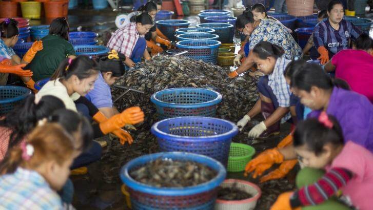 Female workers sort shrimp at a seafood market in Mahachai, Thailand. Photo: Gemunu Amarasinghe