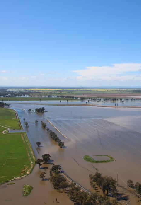 Forbes district farmer Julie Black took to the air on Tuesday to assess the extent of the floodwater damage to their farm.