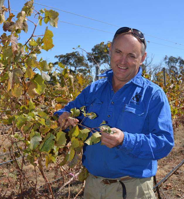 Justin Jarrett from See Saw Wines, Orange, says having a biosecurity policy in place in his vineyard has helped protect it from grape phylloxera. 
