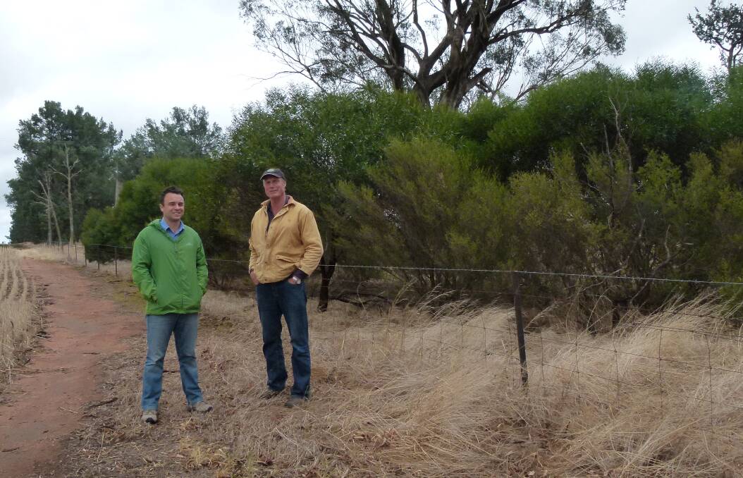 Stephen Hardey and NSW Farmers Association president Derek Schoen with a rehabilitated paper laneway on Mr Schoen's Corowa property. Mr Schoen carried out six kilometres of fencing on his farm to form vegetation corridors.