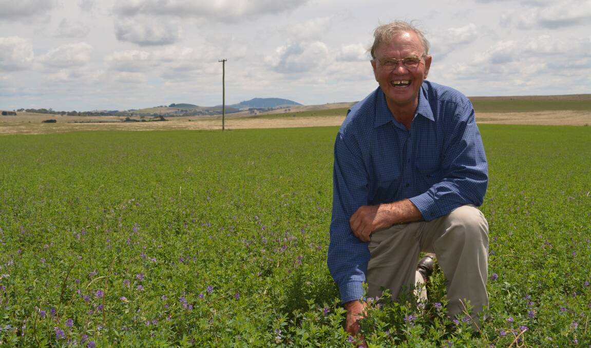 Sheep and cattle producer Bob Stanbridge, "Trellawarren", Blayney, says planning is the key to maximising his livestock profits with brassica and oats fodder crops.