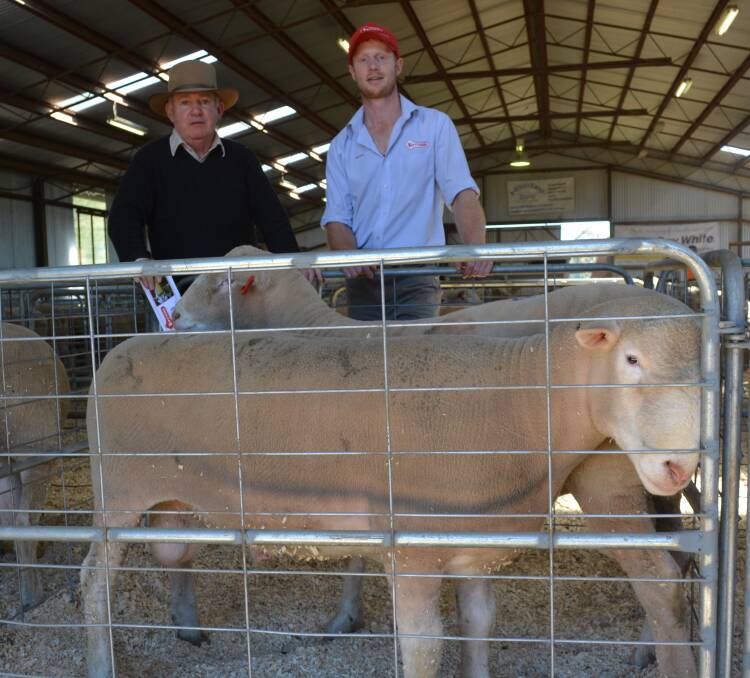 New buyer Peter Baillie, "Aramat Farm", Mulwala, with his two top-priced $3000 Poll Dorset flock rams and Ross Gilmore, Tattykeel Poll Dorset stud, Black Springs.