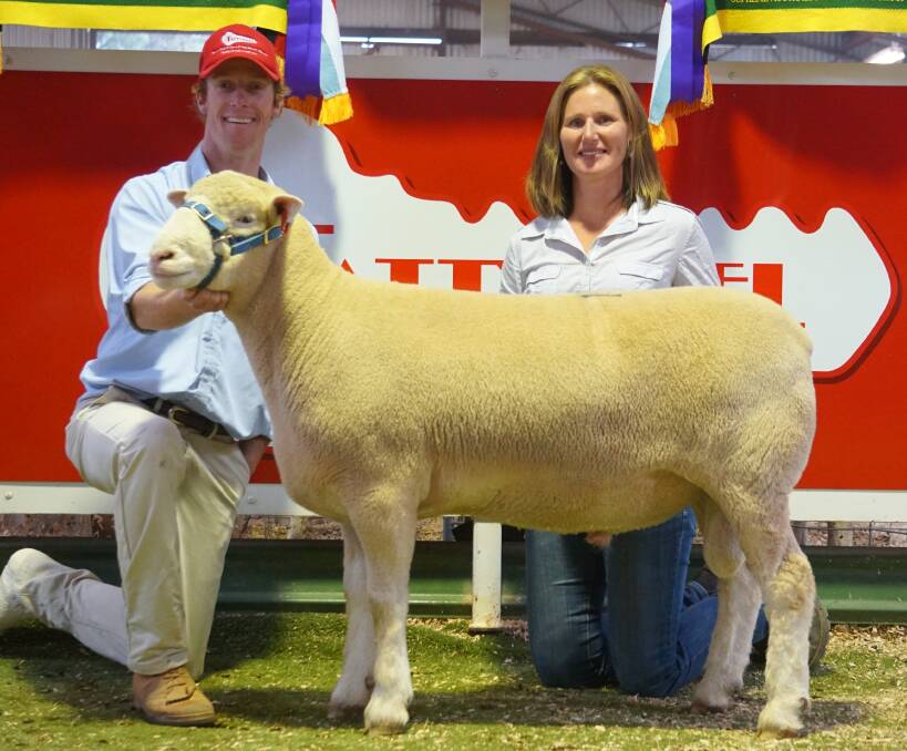 James Gilmore, Tattykeel Poll Dorset stud, Black Springs, and Isabele Roberts, Ridgehaven Poll Dorset stud, Cudal, with Tattykeel Blackjack, which was sold for a world record-breaking $35,000.