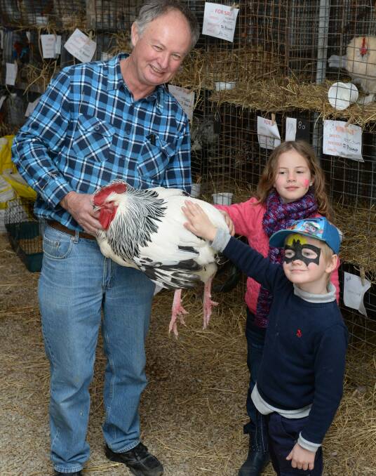 Jeff Rogers, "Daly Oak", Rylstone, shows young Melanie, 6 and Jonathon Pratt, 4, Mudgee, his Suffix rooster at Mudgee Small Farm Field Days this month.