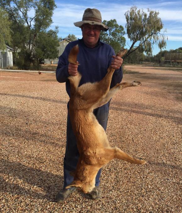 Jack Murray, "Lyndon", Walgett, with the 22-kilogram wild dog he captured recently. Mr Murray encourages other landholders to become involved in trapping and baiting wild dogs.