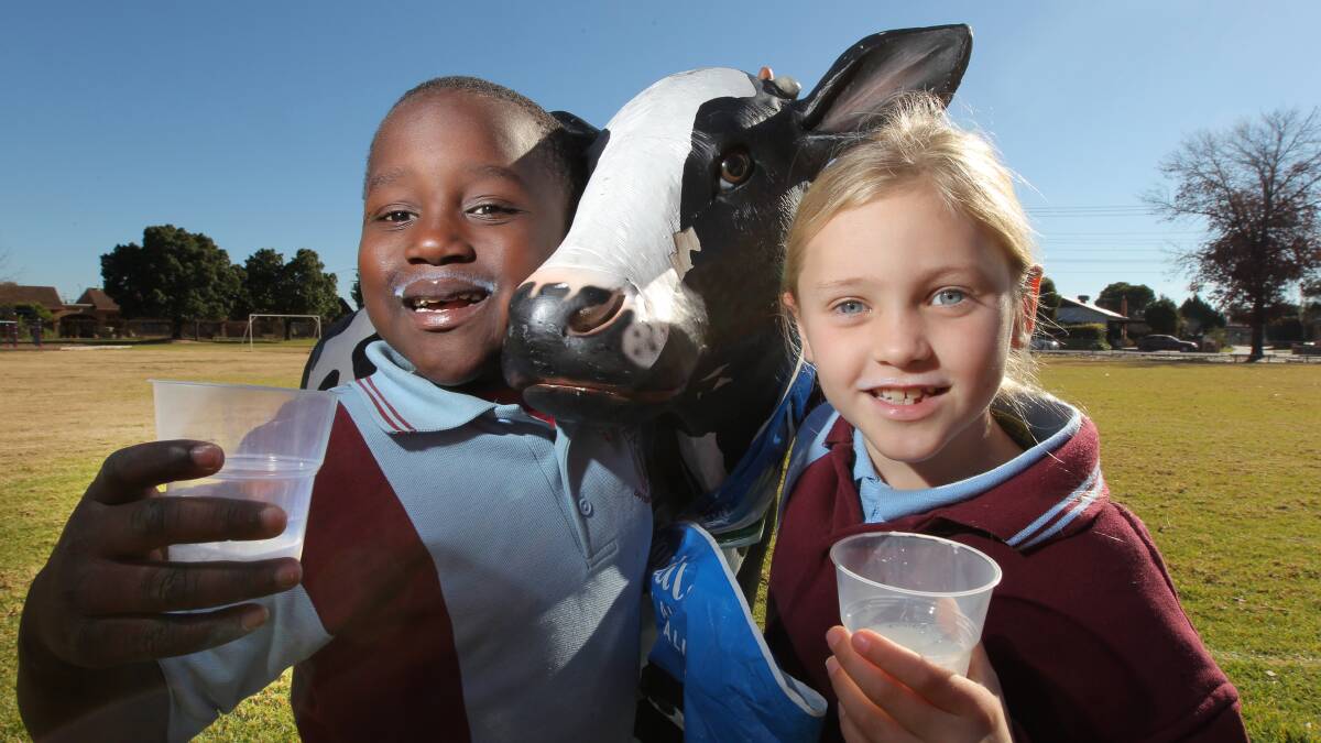 Kiewa Country Milk; the past, the present and the future
