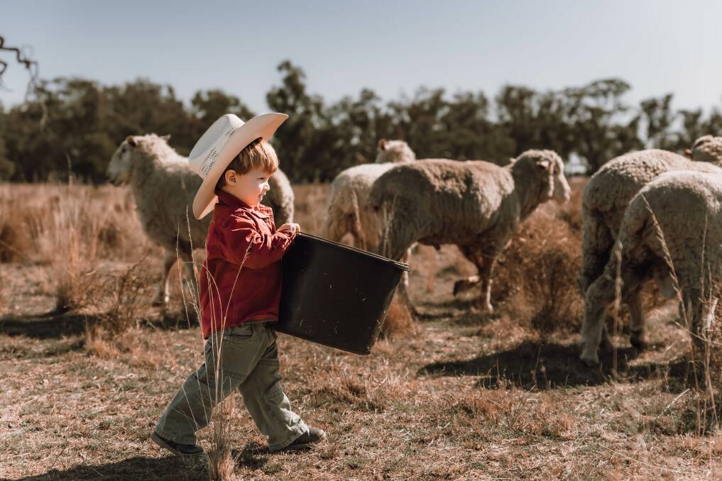 Belinda Dimarzio-Bryan's photo of her son trying to feed the ram was chosen as the winner of the National Ag Day competition.
