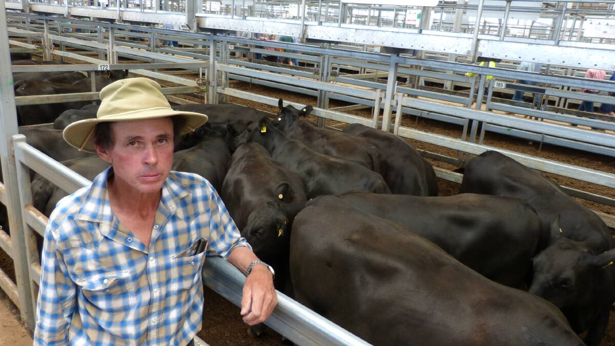 Michael Carey, Chiltern, sold 68 Angus heifers, PTIC to calf Feb-Mar to Rennylea Angus bulls, from $2200-$2350, and 16 cows and calves for $2725 at Wodonga, Thursday.