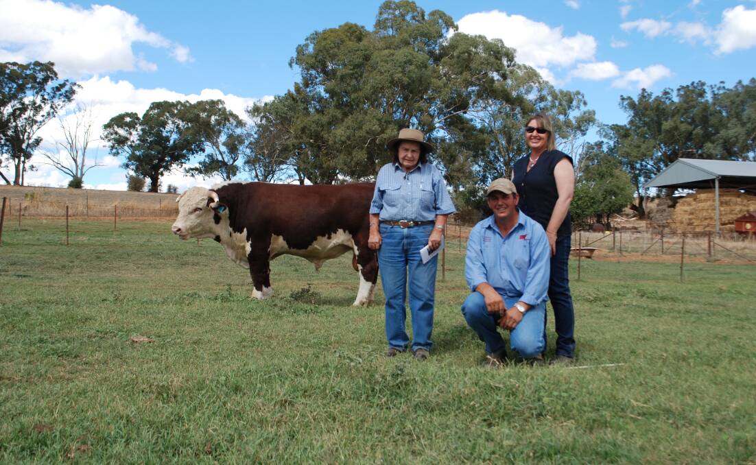 Highest price bull Glenholme Lawrence with purchaser Dorothy Griggs and Geoff and Heather Bush. 