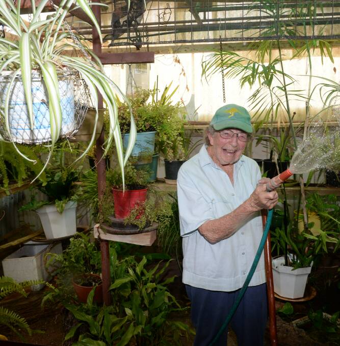 Elsie Allison watering her native plant collection in her backyard greenhouse.