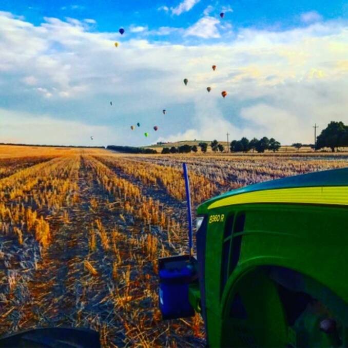 The "Agriculture Australia" Instagram page allows individuals to share their photos of Agriculture in Australia and the stories they have to tell. Photo: Jock Cusack.