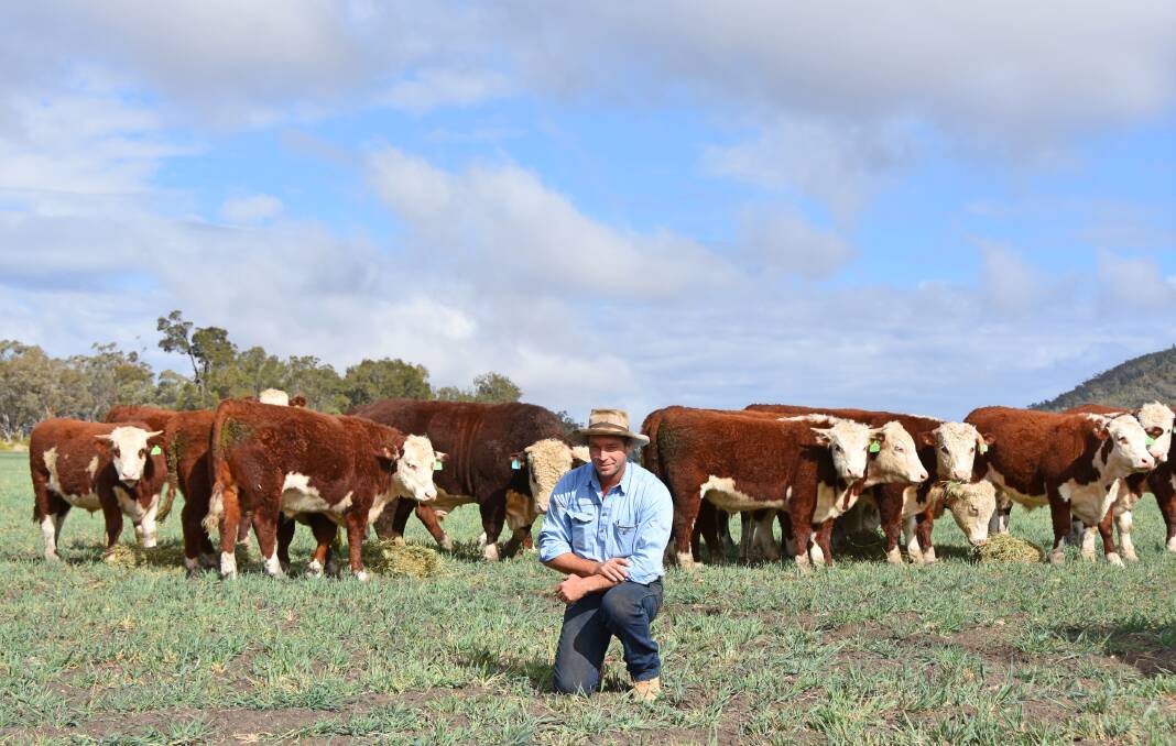 Geoff Kirkby, Kaysix, Bellata, has found a unique way to market his Hereford cattle, leaving out the middle man and going direct to the end user. Picture: Hayley Skelly-Kennedy