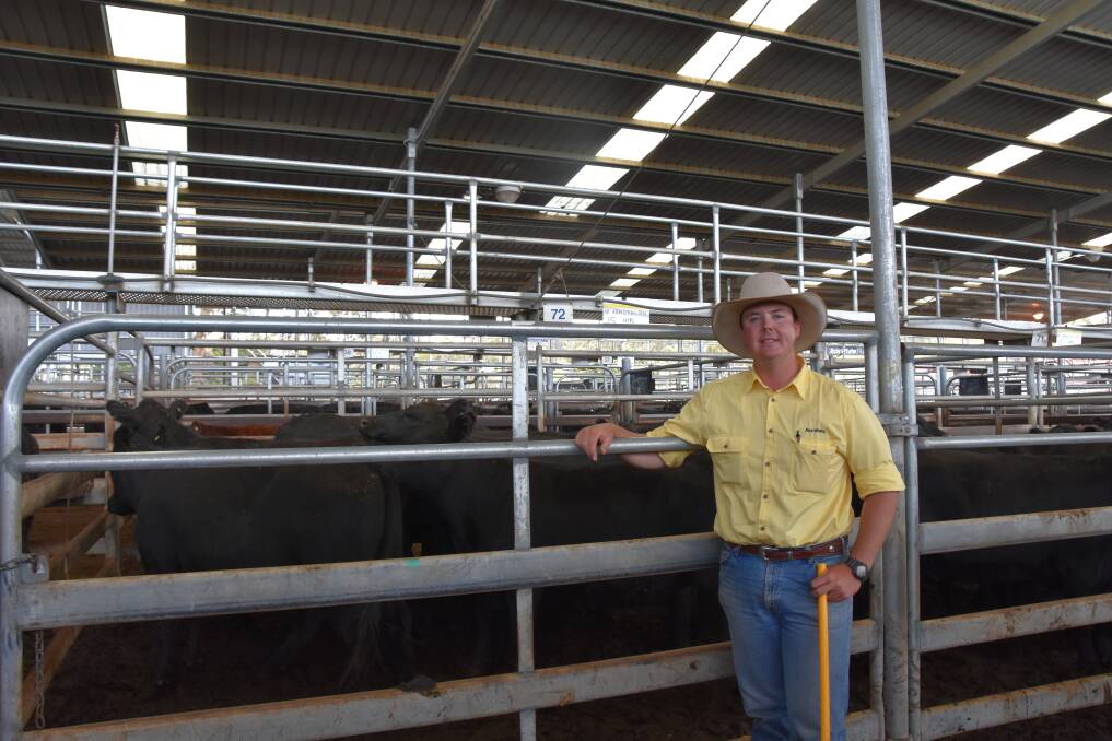 Ray White Rural Guyra/Armidale selling agent Blake O'Reilly with a pen of heifers offered by James Harris, Abington Station, Uralla.