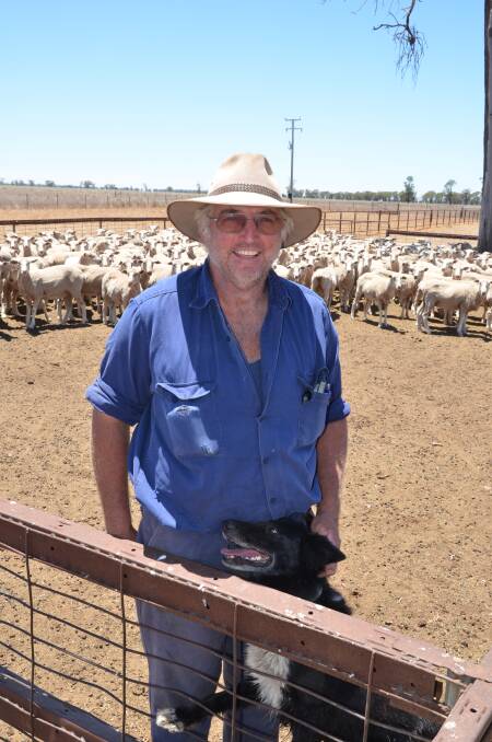 Tony Smith, "Broadwater", Warren, took advantage of the strong December lamb market but expects the good prices should continue through January.
