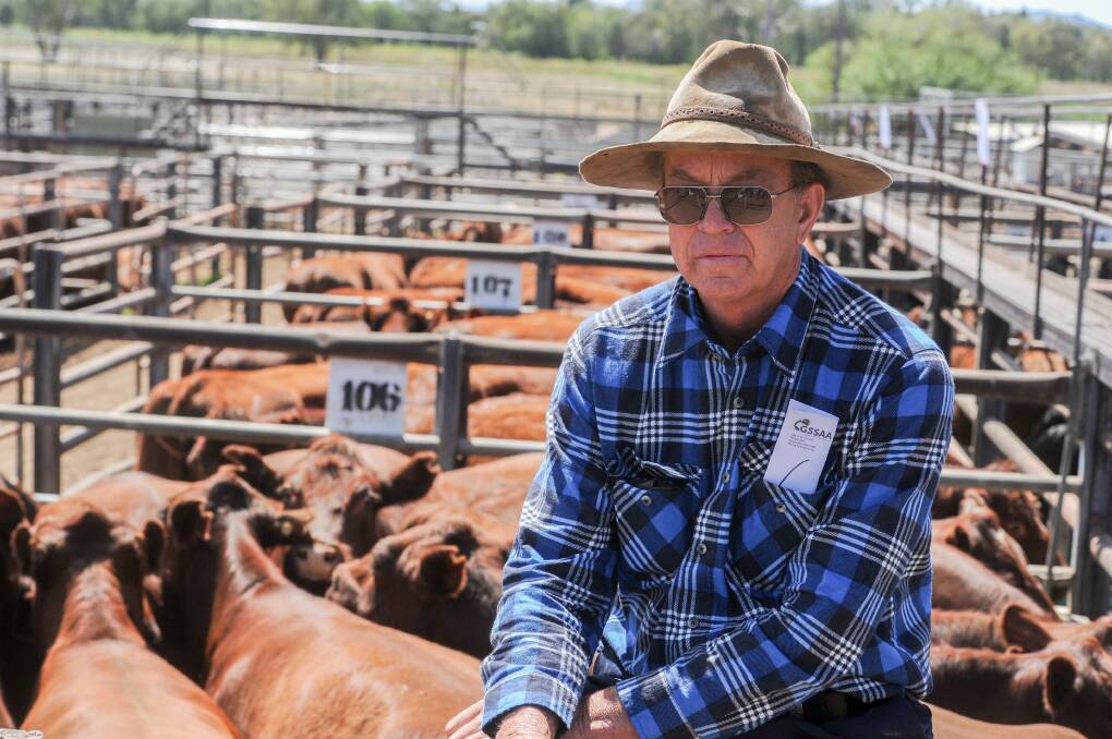 Roger McDowell, Tregoen, Pilliga, sold 109 Shorthorn and Angus pregnancy-tested-in-calf cows at the Gunnedah saleyards on Thursday to a top of $2150. 