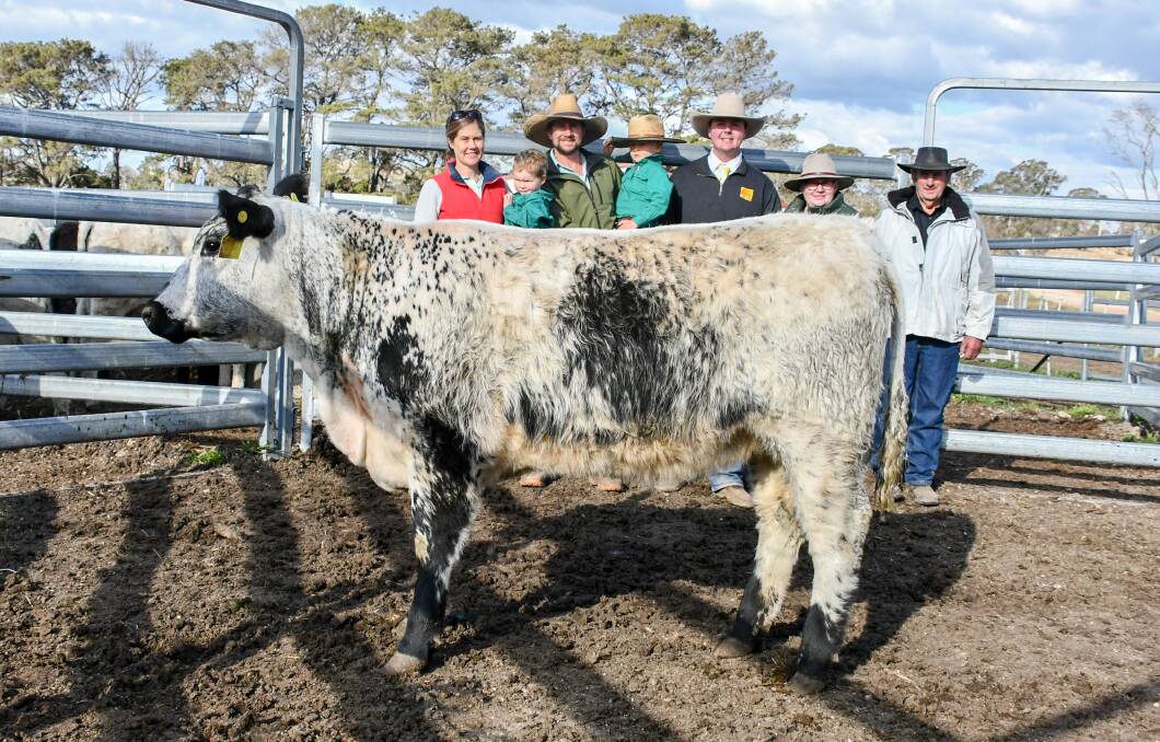 The top price $25,000 Waratah Tequila Q151 with vendors Kayla, Cooper, Laiton and Dustin Turnham, Ray White agent Blake O'Reilly, and Helen and Eric Turnham. 