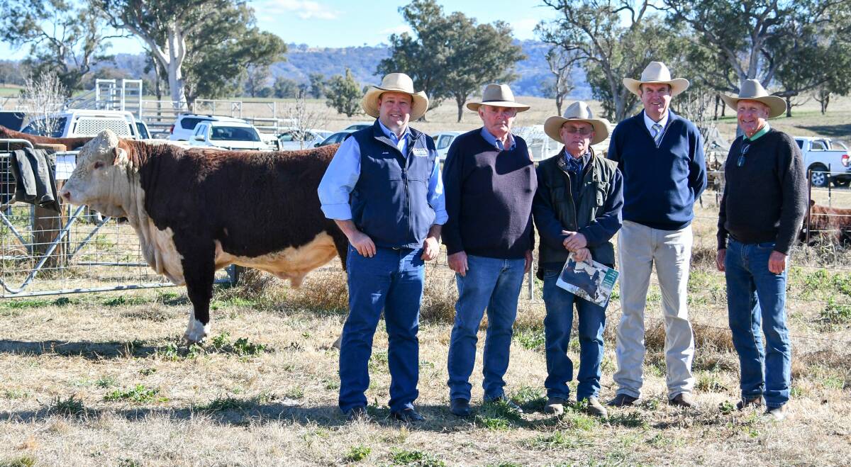 The top price bull with KMWL agent Josh Crosby and his client and buyer Doug Nash, Cranbury Herefords, Cudal, vendor Steve Crowley, auctioneer Paul Dooley and Nutrien's Howard Carter. 