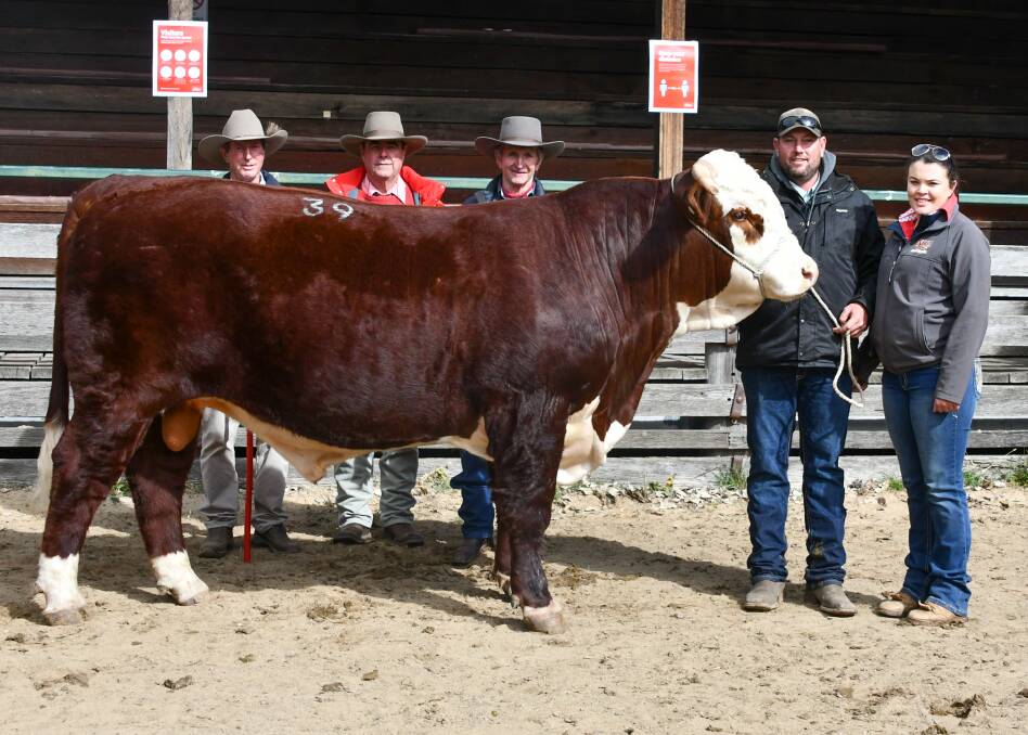 The $13,000 bull Kylandee Prospect with vendor Phil Thomas, Elders agent Brian Kennedy, buyer Rob Drew, and vendors Brad Thomas and Tanisha Daniel. 