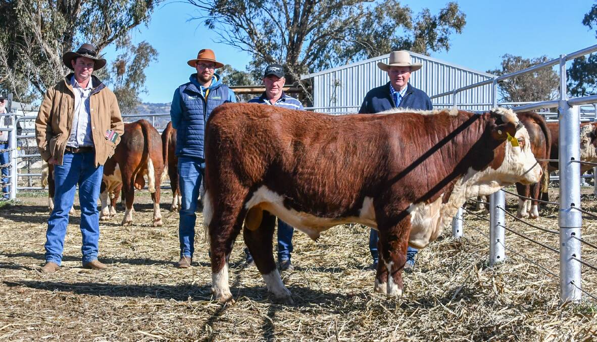 Dylan Keel, Alex Furic and Gavin Day of Emu Park, Deniliquin, with Adrian Spencer of Ironbark Herefords and their $8000 purchase. 