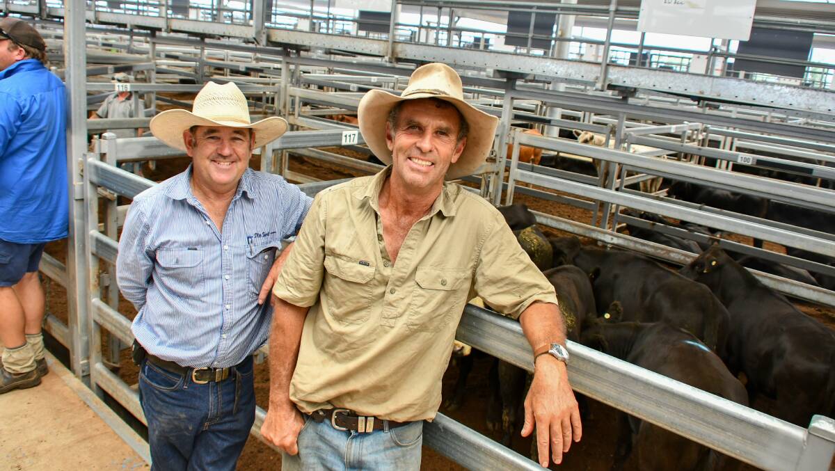 Stuart Bell, Pitt & Sons Porter and Finlayson, Tamworth, with Tim Skerrett, Bimboola, Mulla Creek, and some of his Angus heifers that made $1170 at the Tamworth store sale on Friday. 