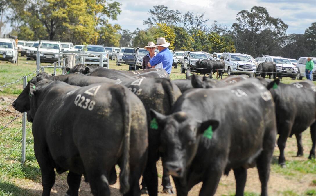From six-week-old weaners to $40,000 top sellers