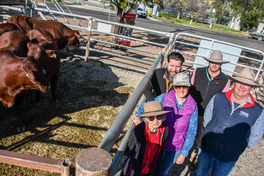 The Yulgilbar donated Santa steers with winner Marion McInnes in the front, NSW Santa Gertrudis Sales Groups representatives Jules and Andrew Orman, Westpac Rescue Helicopter Service community liaison officer Daniel Gillett, and Elders Gunnedah branch manager Nik Hannaford. 