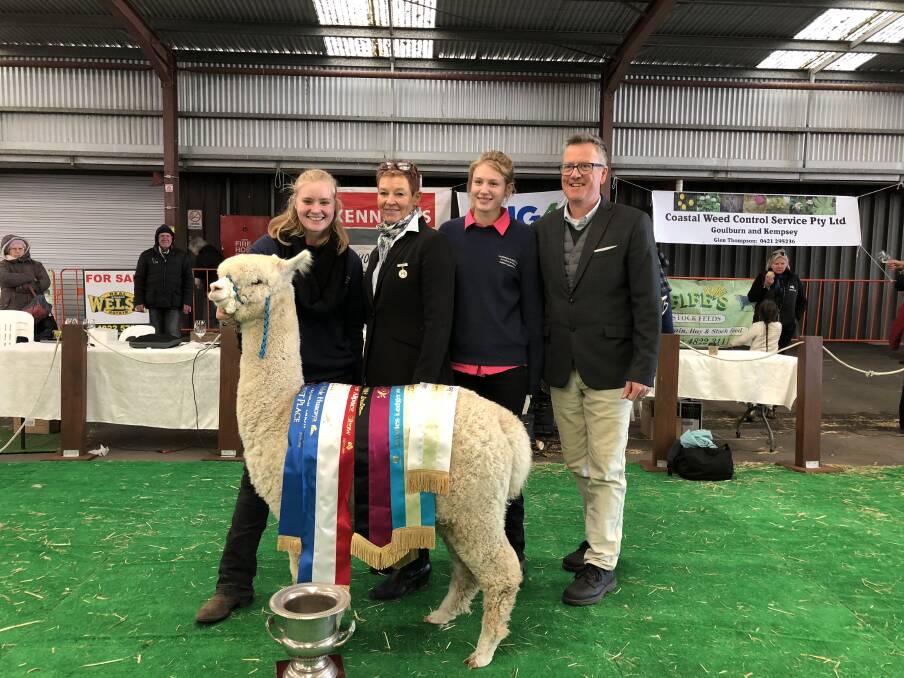Rubey William holding Charles Ledger supreme champion, Illawarra Chant Time, with judges Adrienne Clarke and Peter Kennedy, and also Imogen Boughey.