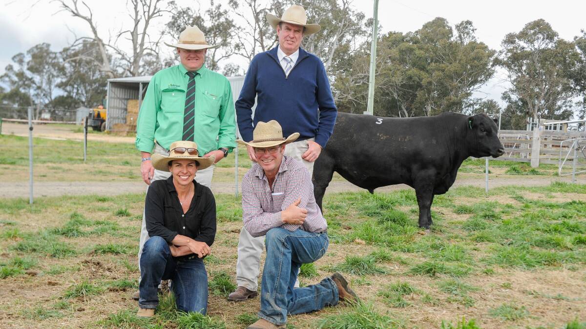 Happy vendors Erica and Stu Halliday kneel in front of Nutrien Studstock agent John Settree who bought the top price bull for Sam King, Bowmont Angus, Tatyoon, Victoria, with auctioneer Paul Dooley and the $40,000 Ben Nevis Quantico Q40. 