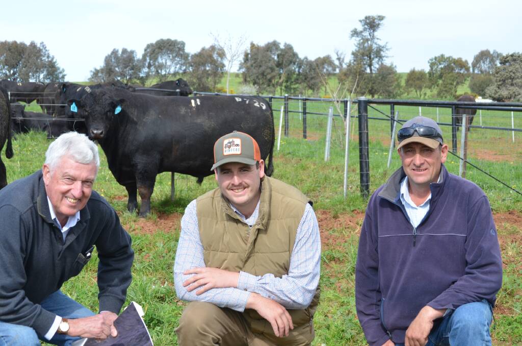 Rod Smith, Jacob Ahern and his father Rod Ahern, Kriden Investments, Forest Reefs with their top price purchase at Milwillah. 