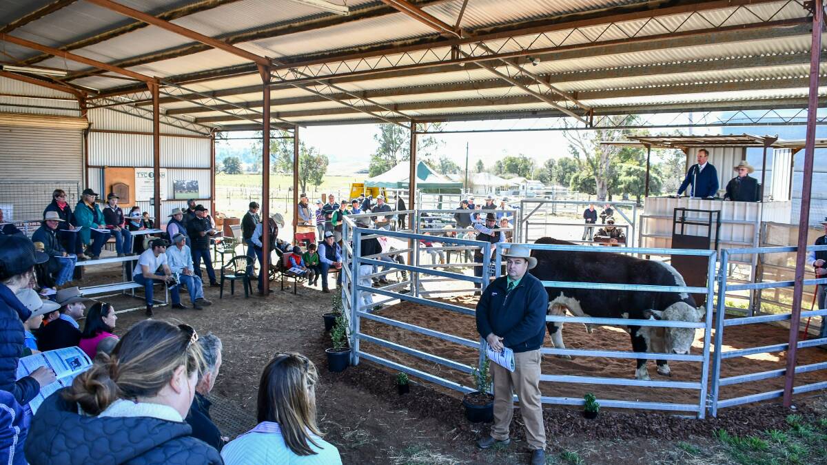 Strong support at Tycolah Herefords sale