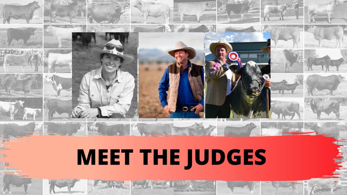 Erica Halliday, John Manchee and Martin Lill will judge The Land's 2020 Beef Battle. 