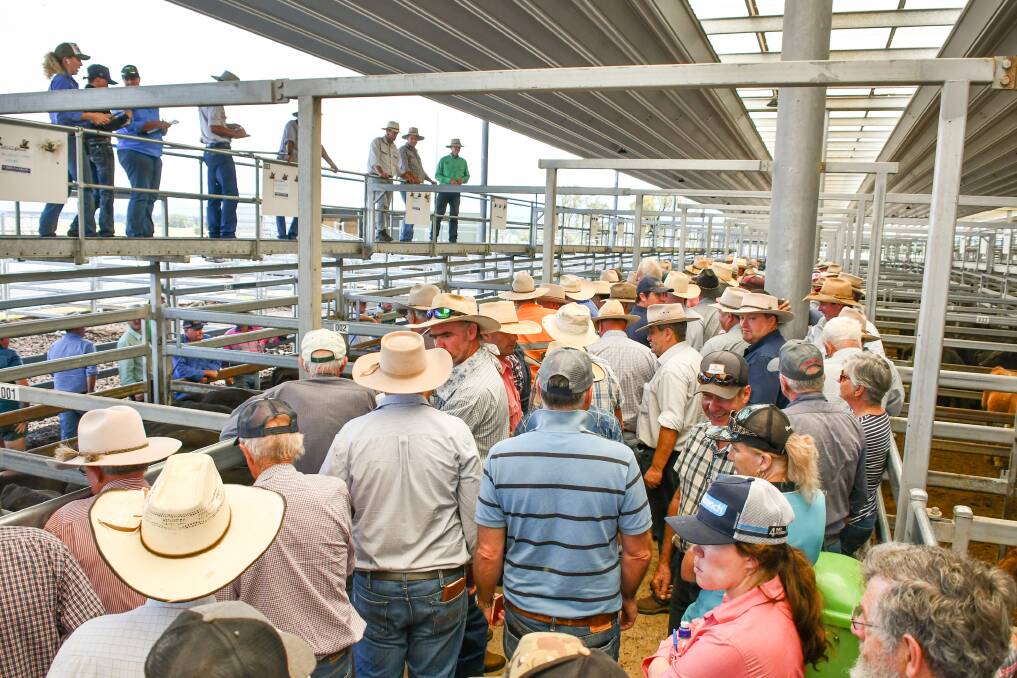 A large crowd were in attendance for the Tamworth store sale. 