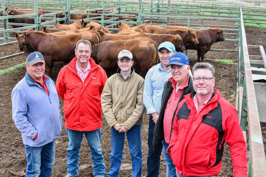 Red Angus breeder Ross Anderson, Elders agent Brian Kennedy, Ryan and Gavin Knee of Mellowood Red Angus, Graham Jordan of Goonoo Red Angus and Elders Tamworth branch manager Jon Goudge. Photo: Lucy Kinbacher 