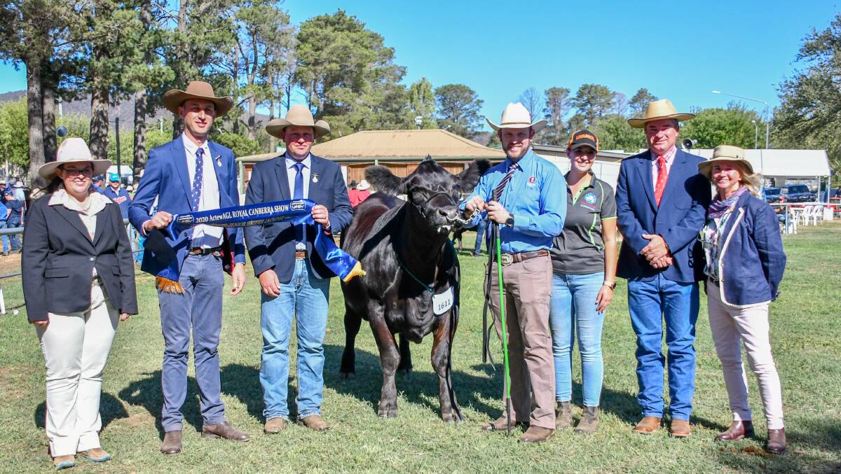 Judges Michelle Fairall, Sam Hunter and Tim Reid with the interbreed jackpot heifer, owners Shannon Lawlor and Eliza Babazogli and judges Tony Starr and Fiona Sanderson.