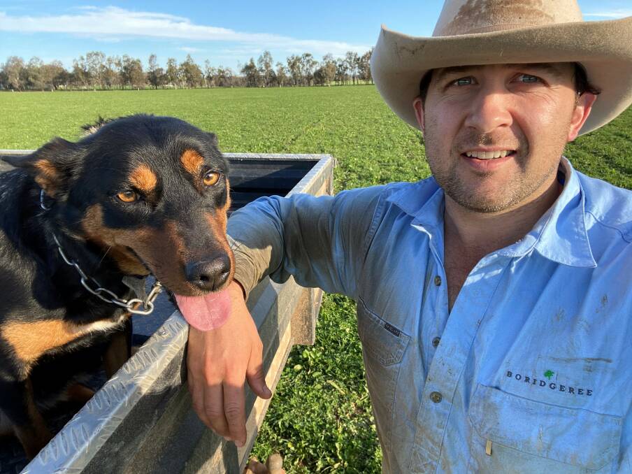Charlie Blomfield was set a massive challenge when taking on the 850 hectare property Boridgeree at Canowindra 18 months ago. 