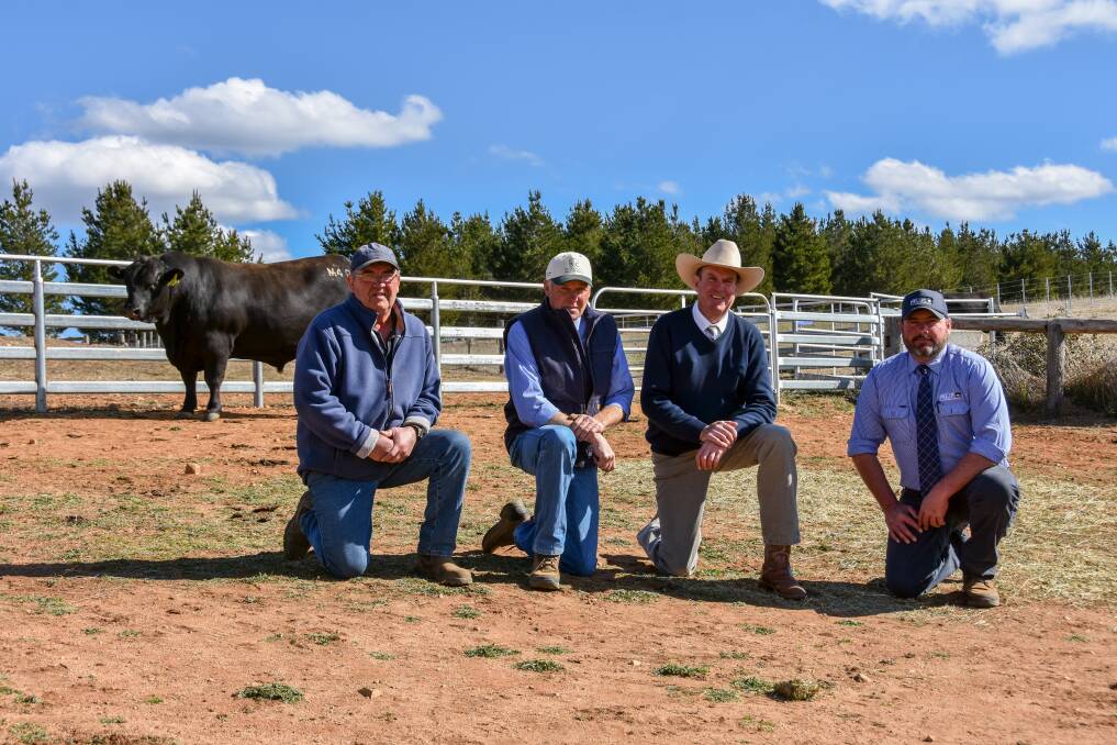 Rosskin Theo M40, purchased for $12,000 by Rod Warren, manager Kelton Plain, Cooma, with vendor Martin Walters, Rosskin, auctioneer Paul Dooley and Monaro Livestock and Property director Will Dixon.