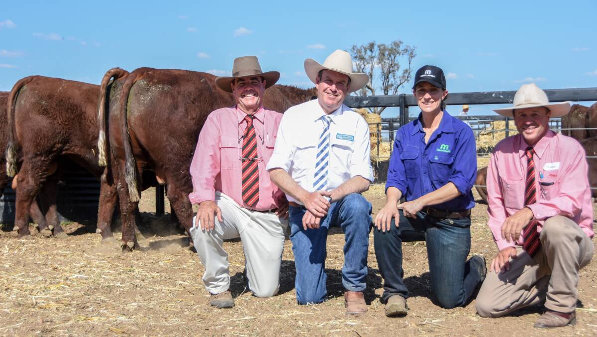 Elders client, the Campbell family, Currawarra, Mitchell, secured 11 bulls at the sale pictured with Elders agent Bryan Kennedy, auctioneer Paul Dooley, vendor Jen Jeffreys, and Elders agent Anthony Triggs. 