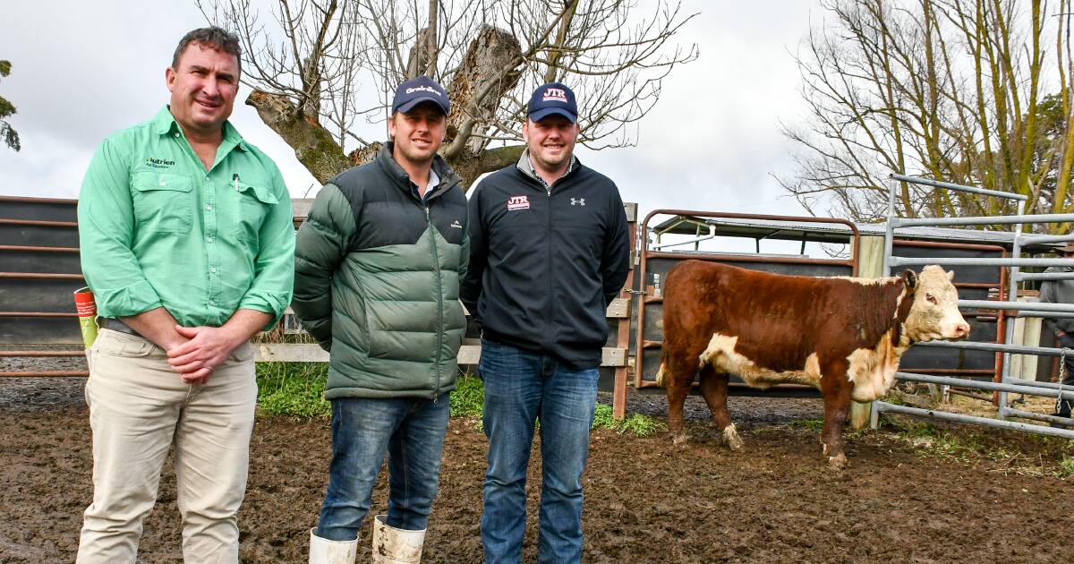 Females hit an $8000 high paid by Tim Reid, JTR Cattle Co, Roslyn, (right) pictured with Nutrien agent Tim Woodham and vendor Jock Nivison. 