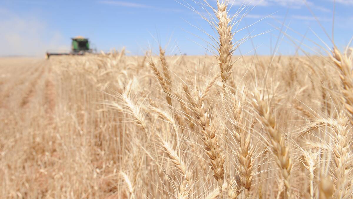 Charting Grain | US and EU crop situation remains bearish