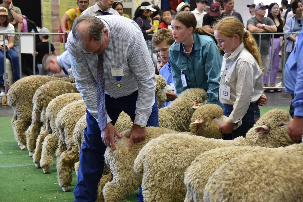 Judge Chris Kemp, Merriwa, checking over a solid class of Corriedale ewes. Picture by Karen Bailey.