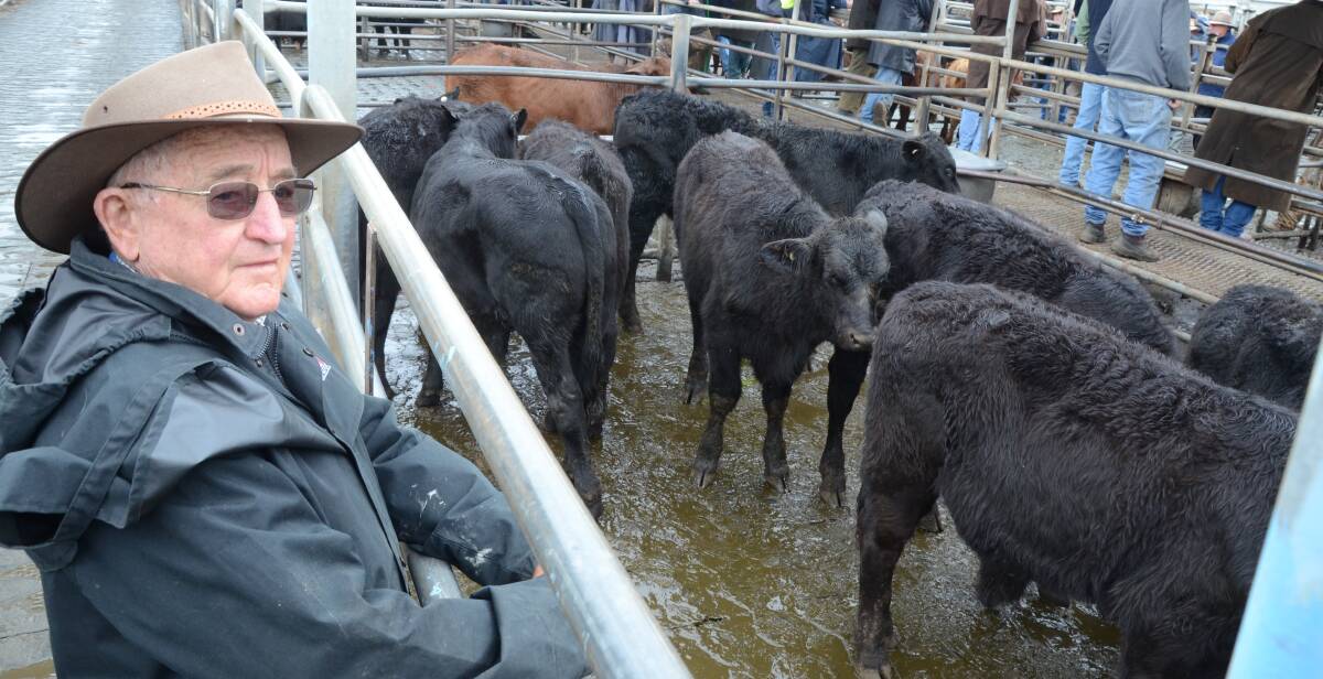 Howard Wye, “Rocky”, Dubbo, paid $845 a head for this pen of 10 Angus-cross weaner steers at Dubbo last Friday.