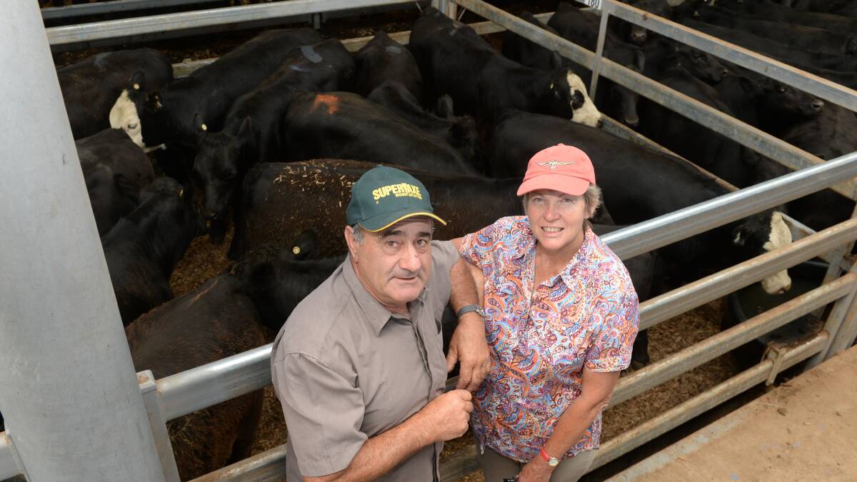 Vendors, Nick and Joy Paola, German Town via Bright, Victoria, sold 10 steers, Witherswood blood, at the Wodonga sale on Thursday.