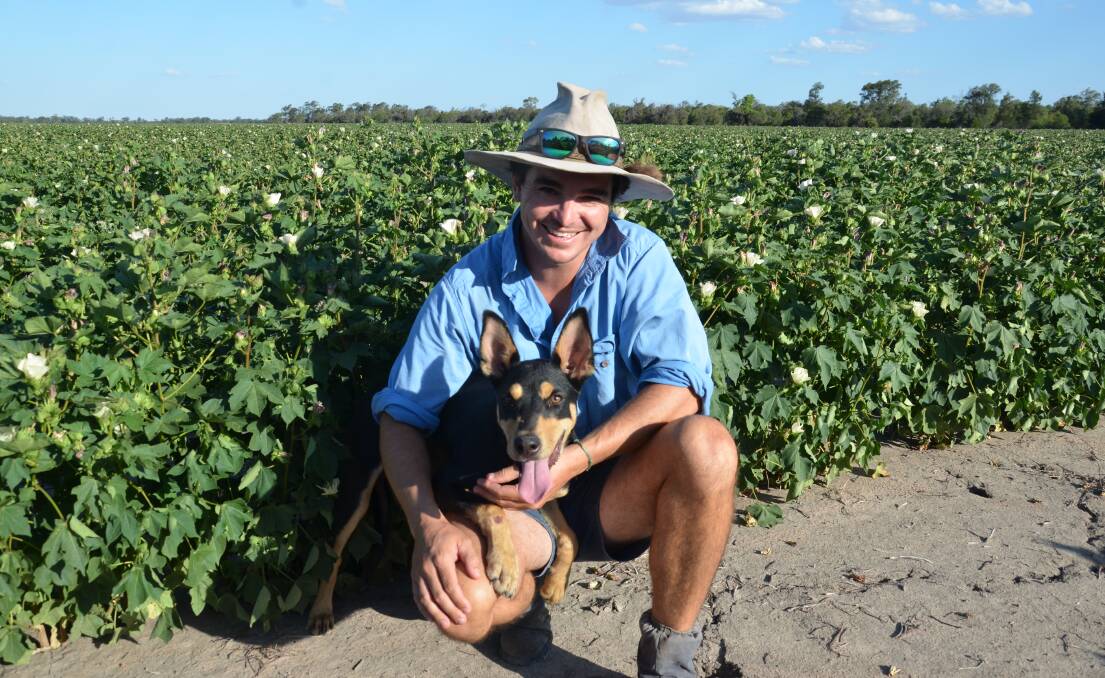 Tom Boyle, “Nine Mile”, Garah, with his dog Frankie inspecting the dryland cotton crop which is in need of rain to produce good yields this season. 