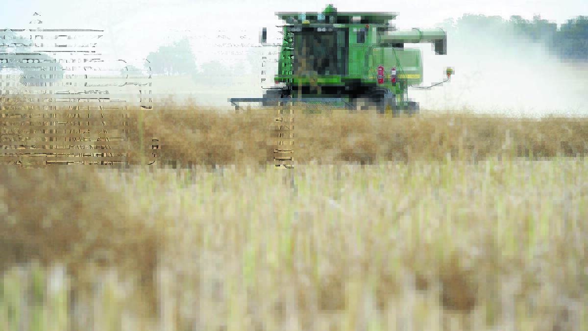 Grain Wrap | Wheat futures still stuck